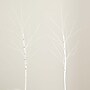 Nearly Natural 36-in Pre-Lit Artificial White Birch Branches with 150 Warm White LED Lights - Set of 2 (T4779-S2)~#|#~AB61FF73-04EB-4207-A4593DF94A0D2B97_sc7