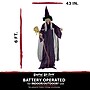 Haunted Hill Farm Life-Size Animatronic Witch with Broomstick (HHWITCH-5FLSA)~#|#~AB6C51FA-B1C1-4667-9DC05E5AA8498B1B_sc7