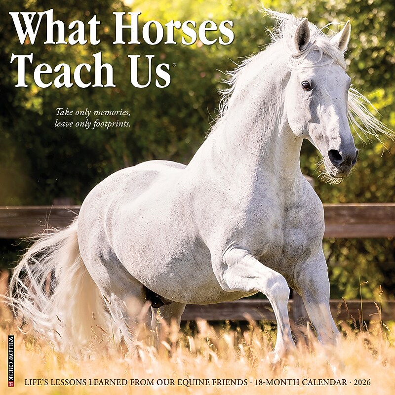 2026 Willow Creek What Horses Teach Us 12" x 12" Monthly Wall Calendar (53195) image 1