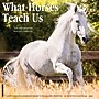 2026 Willow Creek What Horses Teach Us 12" x 12" Monthly Wall Calendar (53195)~#|#~AB902AA8-C619-496F-B727C28B400F4206_sc7