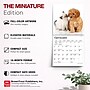 2027 BrownTrout Kittens & Puppies 7" x 7" Monthly Wall Calendar (9798330709724)~#|#~AB90C92C-3430-4E5E-A08D24944A59971A_sc7