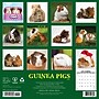 2027 Willow Creek Guinea Pigs 12" x 12" Monthly Wall Calendar (60582)~#|#~AB98E77B-A882-4232-A8FAEE1F1152D45F_sc7