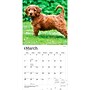 2027 BrownTrout Goldendoodles 12" x 12" Monthly Wall Calendar (9798330712489)~#|#~AB9CC07C-BE2F-4EDE-8B629967CD182290_sc7