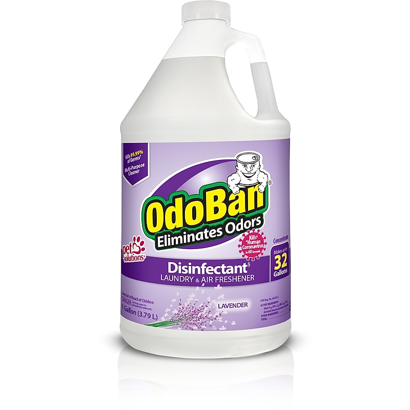 OdoBan Air Freshener & Deodorizer, Lavender Scent, 1 Gallon (911101-G4) image 1