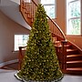 National Tree Company North Valley® Spruce Artificial Christmas Trees NRV7-300-160~#|#~ABB6E127-7C28-4B31-A598B6508A83382F_sc7