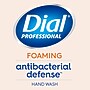 Dial Professional Antibacterial Defense Foaming Hand Soap with Aloe, Original Scent, 11 oz. (1700035446)~#|#~ABC9417A-3864-48FC-9484B4BA05BB05BA_sc7