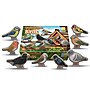 Yellow Door Sensory Play Stones, Birds, Multicolored, 8 Pieces/Set (YUS1219)~#|#~ABD0B425-7488-4DD8-93F275F81803F36F_sc7