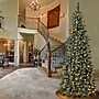 National Tree Company Oakley Hills Artificial Christmas Trees (OAK8-304L-75)~#|#~ABE8F6DE-3A67-4E4E-818CA3563573B4DB_sc7