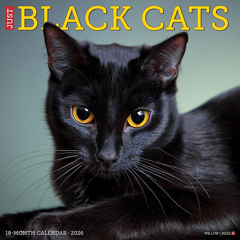 2026 Willow Creek Black Cats 12" x 12" Monthly Wall Calendar (50286) image 1