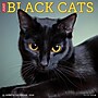 2026 Willow Creek Black Cats 12" x 12" Monthly Wall Calendar (50286)~#|#~ABEBDB7E-DF6E-46CC-92200B734C689642_sc7