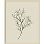 Amanti Art Line Drawn Flowers 1 by Border Bloom Wood Framed Wall Art Print, 33" x 41" (A42677449910)~#|#~AC00513C-6474-4444-9C564454FA8C0F43_sc7