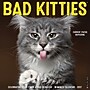 2027 Willow Creek Bad Kitties 12" x 12" Monthly Wall Calendar (58992)~#|#~AC006601-D048-44E9-B53A11EA643F6EA2_sc7