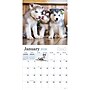 2026 TF Publishing Puppies 12" x 12" Monthly Wall Calendar, Multi (26-1025)~#|#~AC07CFA9-F2D4-4645-A81FED47A3B7685A_sc7