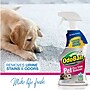 OdoBan Pet Solutions Laundry Stain Remover, 32 oz. (961561-Q6)~#|#~AC1034D8-91DA-49B0-B590B19A1D5B1F26_sc7