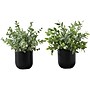 Monarch Specialties Inc. Eucalyptus and Grass in Pots, 2/Pack (I 9580)~#|#~AC34D19C-0954-47B1-BC236A9F076C9DE4_sc7