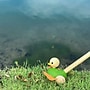 Plan Toys Wooden Push Along Duck Toy, Multicolored (PTS5626)~#|#~AC3A4B55-C596-46A4-AE74069AA1EC09FD_sc7