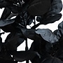 Nearly Natural Artificial Halloween Black Fiddle Leaf Tree, 4' (T5146)~#|#~AC49F09A-1E06-4984-B17D2DAC6C4920E5_sc7