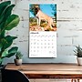 2026 BrownTrout Mastiffs 12" x 12" Monthly Wall Calendar (9798330704538)~#|#~AC5FF41C-2B17-4BFB-8828D122DC89F3BD_sc7