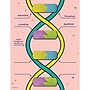 Roylco DNA Builder, 9/Set (R-59252)~#|#~ACB354A7-D275-47FC-8157093F5F5518E3_sc7