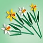 LEGO Botanicals Daffodils, 216 Pieces (40747)~#|#~ACB9F84F-9690-47D0-8A07AE86B52D3033_sc7