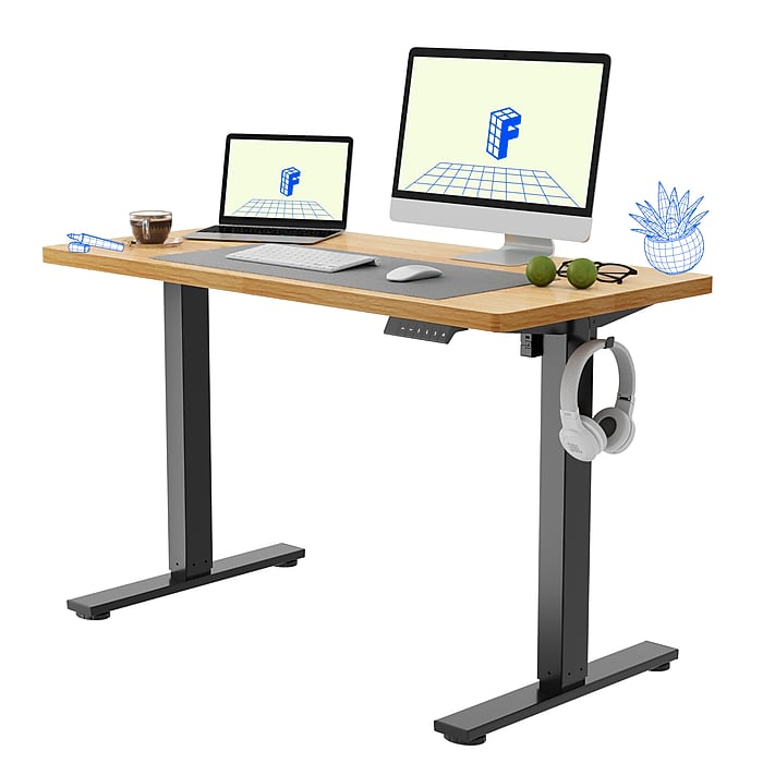 FlexiSpot E2 48''W Electric Rectangular Adjustable Standing Desk