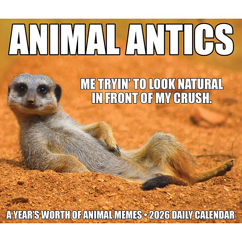 2026 Willow Creek Animal Antics 6.2" x 5.4" Day-to-Day Calendar (55137) image 1