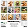 2027 Willow Creek Goldendoodles  12" x 12" Monthly Wall Calendar (60469)~#|#~ACBCB5B4-E3CB-4540-91FCDC426065708F_sc7