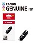 Canon 250 Black Standard Yield Ink Cartridge (6497B001)~#|#~ACC112BB-1B4D-4A91-99AD507E8F3DB063_sc7