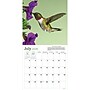 2026 TF Publishing Backyard Birds 12" x 12" Monthly Wall Calendar, Multi (26-1033)~#|#~ACC27833-6D6F-4859-970580AD65B1440E_sc7