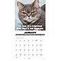 2027 Willow Creek Crabby Cats 12" x 12" Monthly Wall Calendar (65167)~#|#~ACCF7068-2BF6-4971-8CEA1CD49BFA706E_sc7