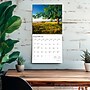 2026 BrownTrout The Majesty of Trees 12" x 12" Monthly Wall Calendar (9798330704491)~#|#~ACF7AE6E-883C-4C2C-925318BA7A9BF073_sc7