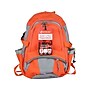 First Aid Only 209-Piece Shelter-in-Place Emergency Preparedness Backpack, Orange/Gray (91308)~#|#~AD30B605-1664-4928-A68C1092F153AF41_sc7
