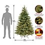 National Tree Company Frasier Grande Artificial Christmas Tree (PEFG3-308-65)~#|#~AD39B485-EEE4-480B-B622293E6DC15290_sc7