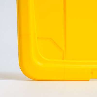 IRIS USA Storage Container
