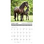 2026 Willow Creek Why Horses Do That 12" x 12" Monthly Wall Calendar (53263)~#|#~AD608A12-CF50-490D-883BDBFC0188BFCE_sc7