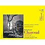 Strathmore 300 Series 18" x 24" Charcoal Sketch Pad, 24 Sheets/Pad (STTP3301181)~#|#~AD6681F6-C282-450B-9C1511A79A96779E_sc7