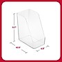 TRU RED™ Plastic Magazine File, Clear (TR62287)~#|#~AD6ABBEE-1409-43A8-A7759BBD1E56C26C_sc7