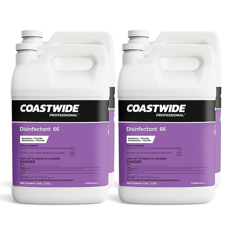 Coastwide Professional 66 Disinfectant and Sanitizer, 1 Gallon, 4/Carton (CW066CN01-A) image 1