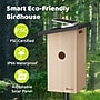 Birdfy Nest Ebony Birdhouse with Camera, Solar Panel and AI by Subscription, Multicolored (EPPAMBNI8802110)~#|#~ADB60248-EBD3-478A-B081B1C6DBB8DE3C_sc7
