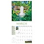 2027 Willow Creek Twin Cities 12" x 12" Monthly Wall Calendar, Assorted Colors (62722)~#|#~ADB6ED21-A0EC-4262-A68600A61F3356FC_sc7