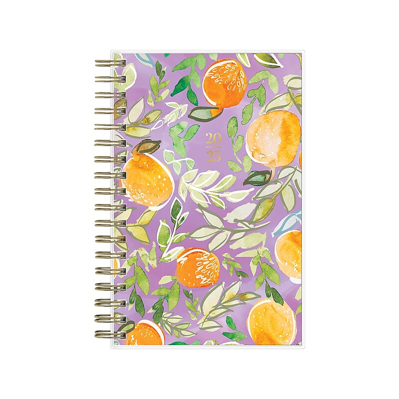 2025 Blue Sky Citrus Sunrise 3.63" x 6.13" Weekly & Monthly Planner, Plastic Cover, Multicolor (148028) image 1