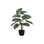 Monarch Specialties Inc. 24" Artificial Calathea Plant in Pot (I 9577)~#|#~ADC5E699-0EFF-4108-AEB5FAC60F1EB2F0_sc7