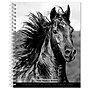 2027 BrownTrout The Noble Horse 6.5" x 7.8" Calendar Year Weekly Standard Planner, Multicolor (9798330709465)~#|#~ADD1B140-E4B0-4111-9708C0C96E742934_sc7