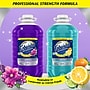 Fabuloso Professional All-Purpose Cleaner and Degreaser, Citrus Fresh Scent, 125 oz. (61051911)~#|#~ADEA6702-C815-48D5-909EDC3B63531D64_sc7