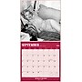 2026 BrownTrout Marilyn Monroe 12" x 12" Monthly Wall Calendar (9798330701384)~#|#~ADF203A7-0D4E-407B-AC6ED29AE07E7900_sc7