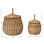 Storied Home Handwoven Wicker Basket Storage with Lids, Natural, 2/Set (DF3996)~#|#~AE072191-FE93-414E-AC8FC2238EDDCC68_sc7