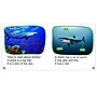 Scholastic Teaching Solutions Nonfiction Phonics Readers: R-controlled, Variant Vowels & More, 125 Books/Set (SC-9781338894714)~#|#~AE07C8F5-C2F6-4185-B032BF8B71FAE957_sc7