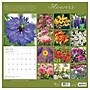 2027 TF Publishing Flowers 10" x 12" Monthly Wall Calendar, Multicolored (27-1034)~#|#~AE145A9A-5C0C-45BC-8A3970BFBBFDB8F6_sc7