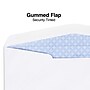 Staples Security Tinted #10 Double Window Envelopes, 4 1/8" x 9 1/2", White, 500/Box (ST20137)~#|#~AE1BB140-9743-4C67-BBE1972255DDD93E_sc7