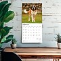 2026 BrownTrout Saint Bernards 12" x 12" Monthly Wall Calendar (9798330705405)~#|#~AE1BBB4E-6670-497C-B9A8E28C5128E3B5_sc7